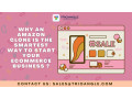 launch-your-ecommerce-business-with-an-amazon-clone-script-small-0