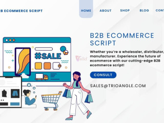 power-your-online-b2b-marketplace-with-our-advanced-b2b-ecommerce-script