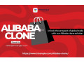 launch-your-own-global-b2b-marketplace-with-an-alibaba-clone-small-0