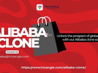 launch-your-own-global-b2b-marketplace-with-an-alibaba-clone
