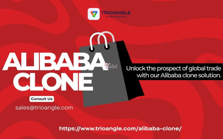 launch-your-own-global-b2b-marketplace-with-an-alibaba-clone-big-0