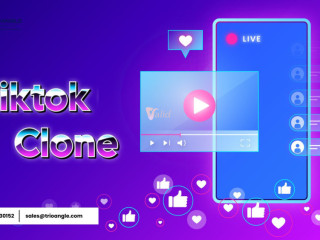 build-the-next-tiktok-your-brand-your-platform