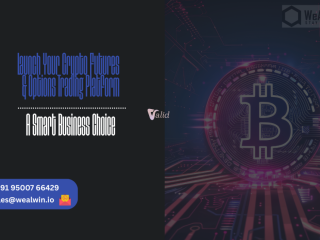 launch-your-crypto-futures-options-trading-platform-a-smart-crypto-exchange-business-choice