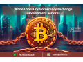 white-label-cryptocurrency-exchange-development-services-small-0