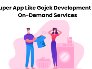 super-app-like-gojek-development-for-on-demand-services